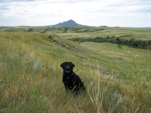 Broken Heart Ranch Land for Sale