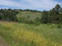 Rattlesnake Ridge Property