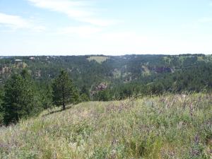 Rattlesnake Ridge