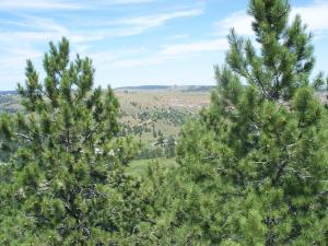 Rattlesnake Ridge Property