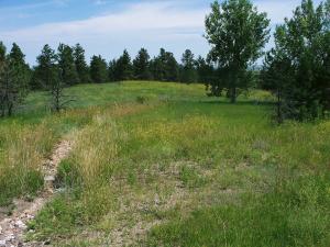 Rattlesnake Ridge Property